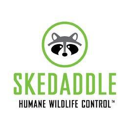 Skedaddle Humane Wildlife